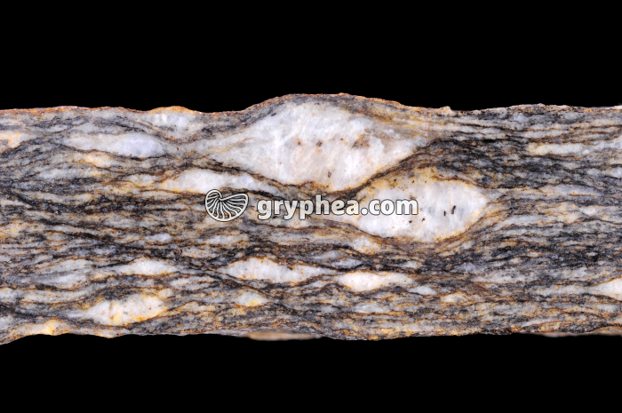 Gneiss oeillé - surface polie - détail - gryphea.com